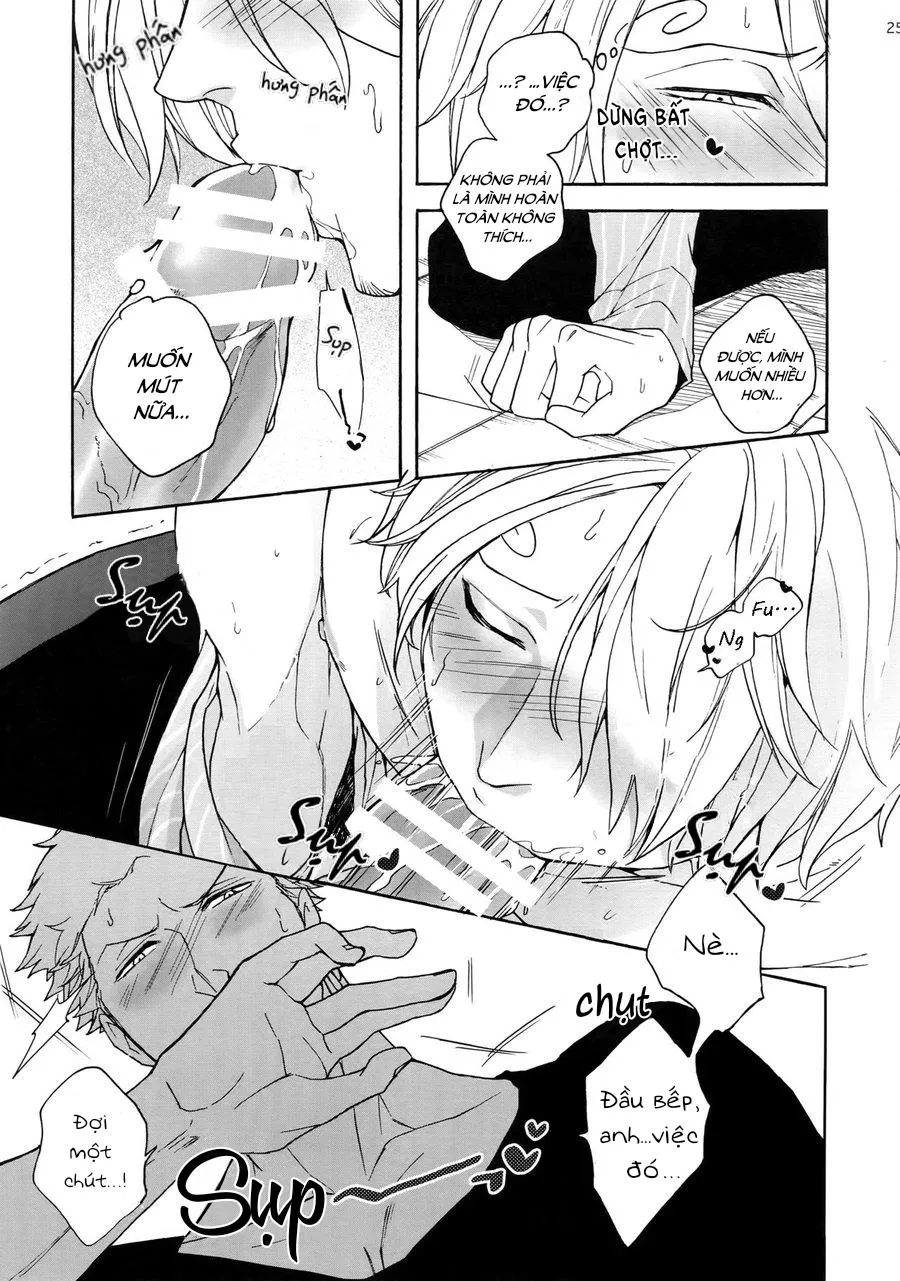 Tổng Hợp OnePiece Dj Chapter 26 Trang 26