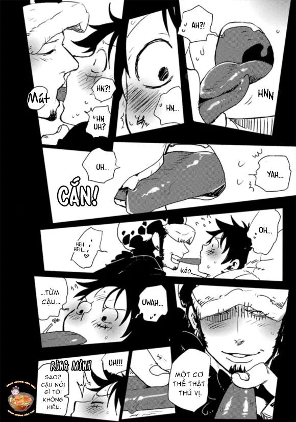 Tổng Hợp OnePiece Dj Chapter 27 Trang 8