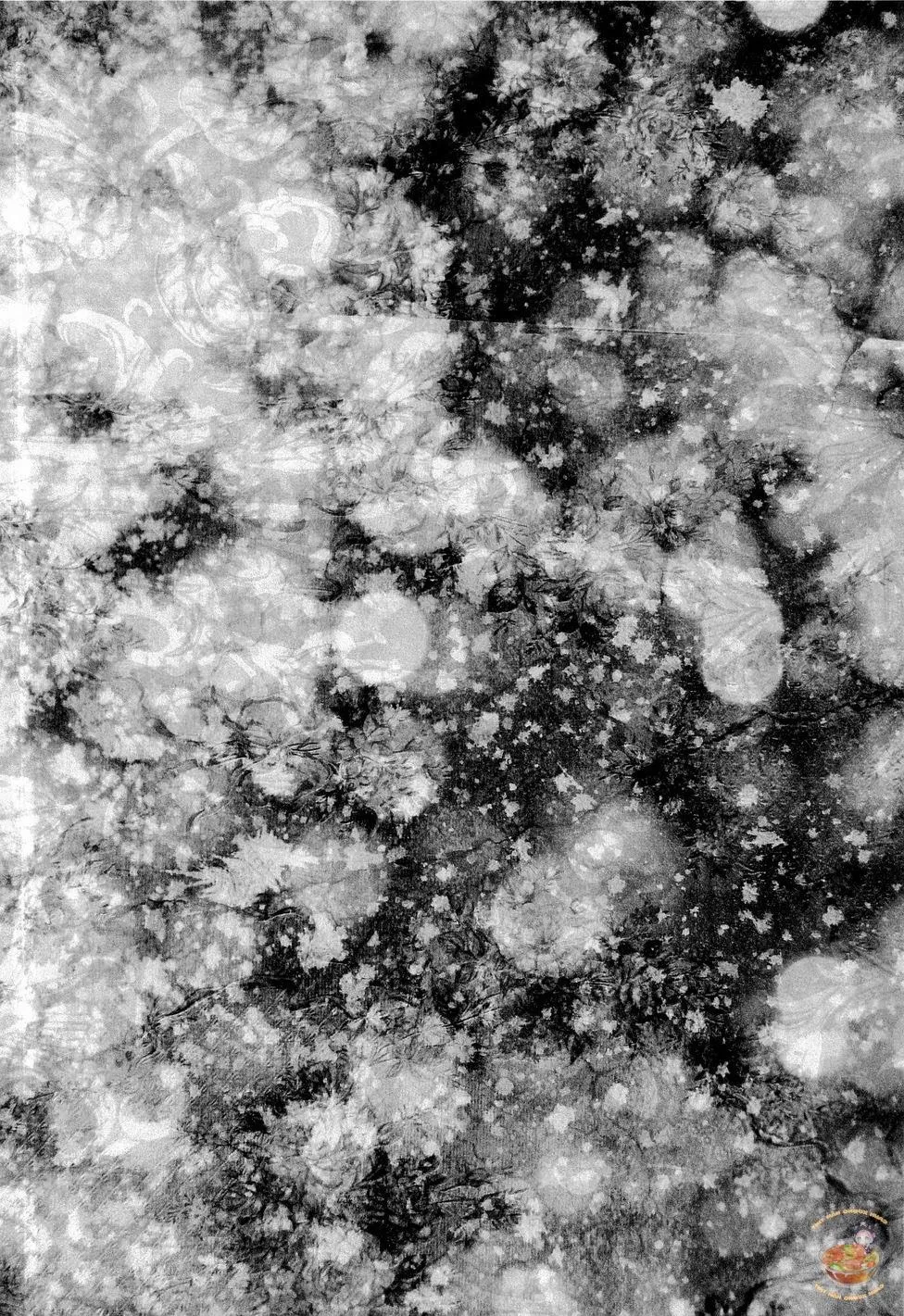 Tổng Hợp OnePiece Dj Chapter 35 Trang 5