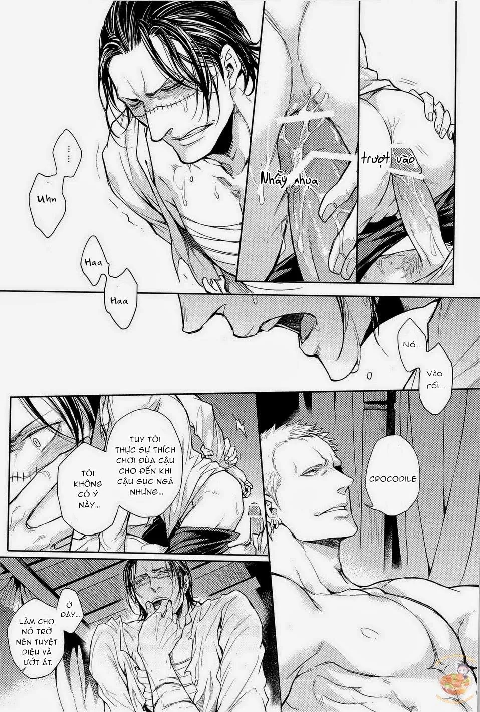 Tổng Hợp OnePiece Dj Chapter 35 Trang 33