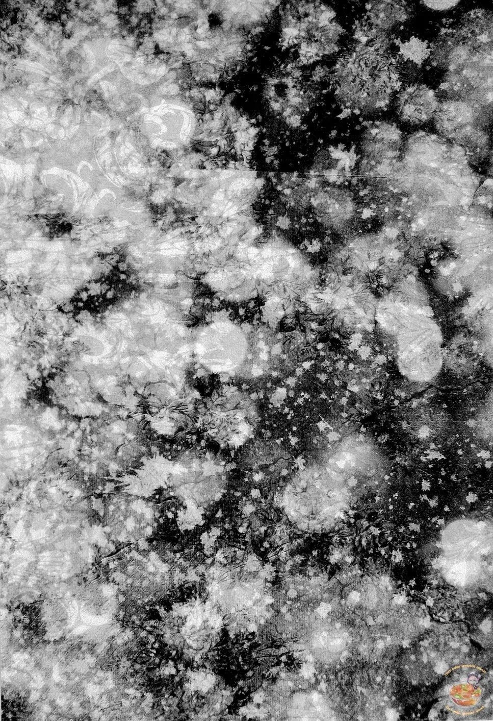 Tổng Hợp OnePiece Dj Chapter 35 Trang 62