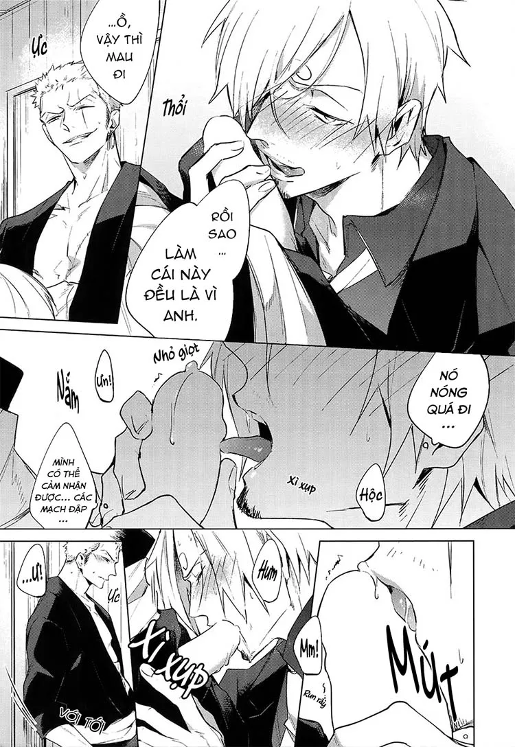 Tổng Hợp OnePiece Dj Chapter 1 Trang 11