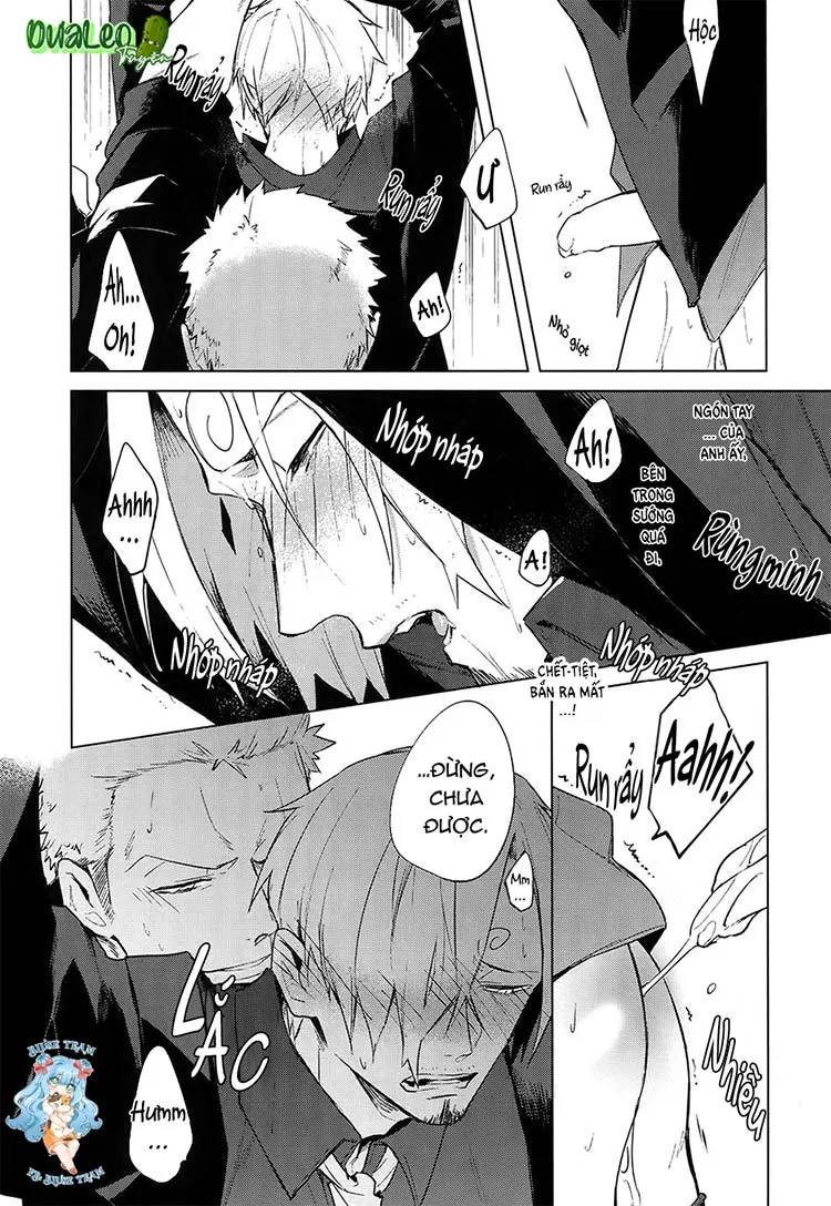 Tổng Hợp OnePiece Dj Chapter 1 Trang 15