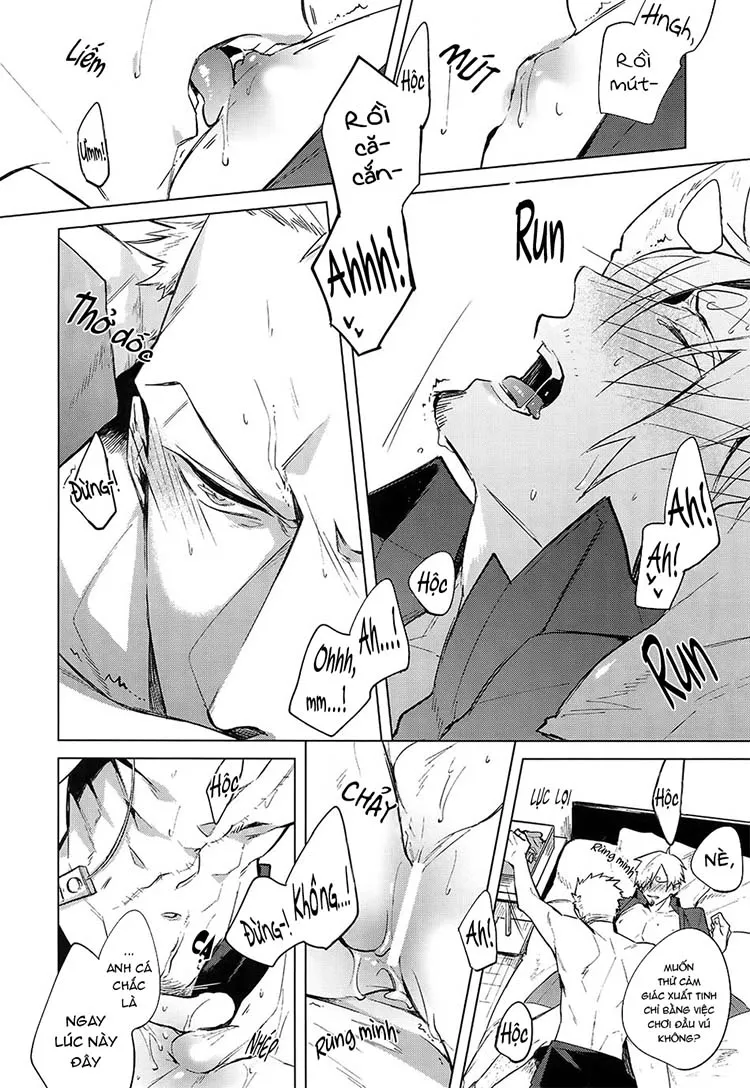 Tổng Hợp OnePiece Dj Chapter 1 Trang 24