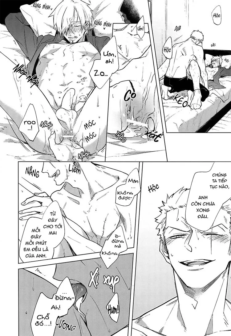 Tổng Hợp OnePiece Dj Chapter 1 Trang 32