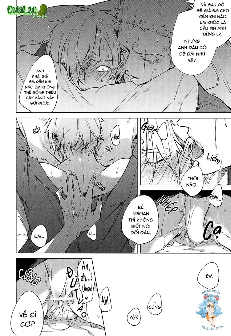 Tổng Hợp OnePiece Dj Chapter 1 Trang 34