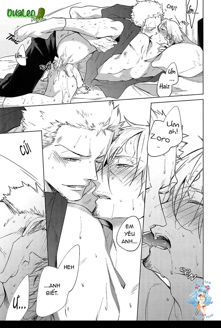 Tổng Hợp OnePiece Dj Chapter 1 Trang 39