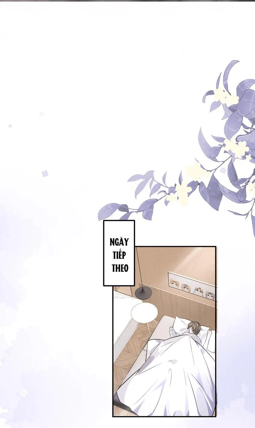 Tổng tài định chế tư nhân Chapter 4 Trang 17