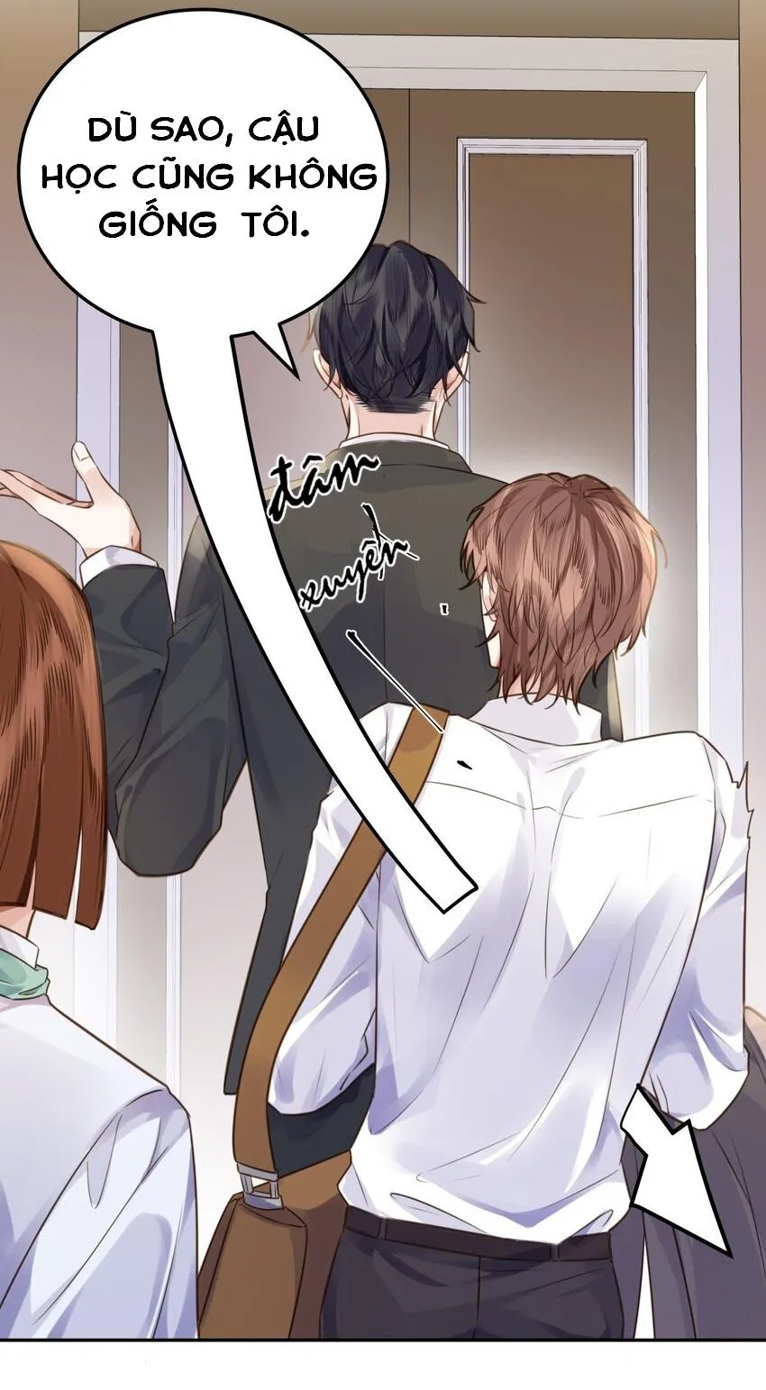 Tổng tài định chế tư nhân Chapter 6 Trang 4