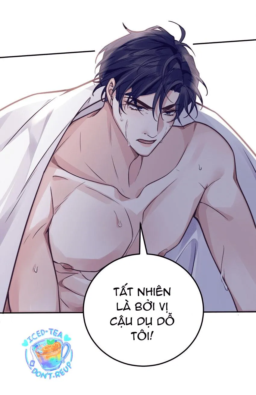 Tổng tài định chế tư nhân Chapter 7 Trang 11