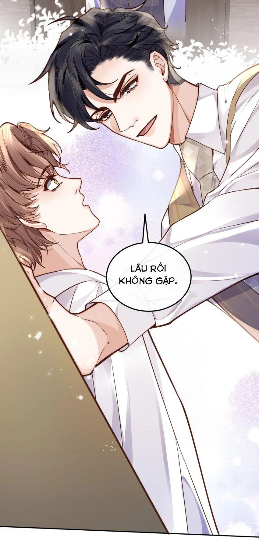 Tổng tài định chế tư nhân Chapter 16 Trang 11