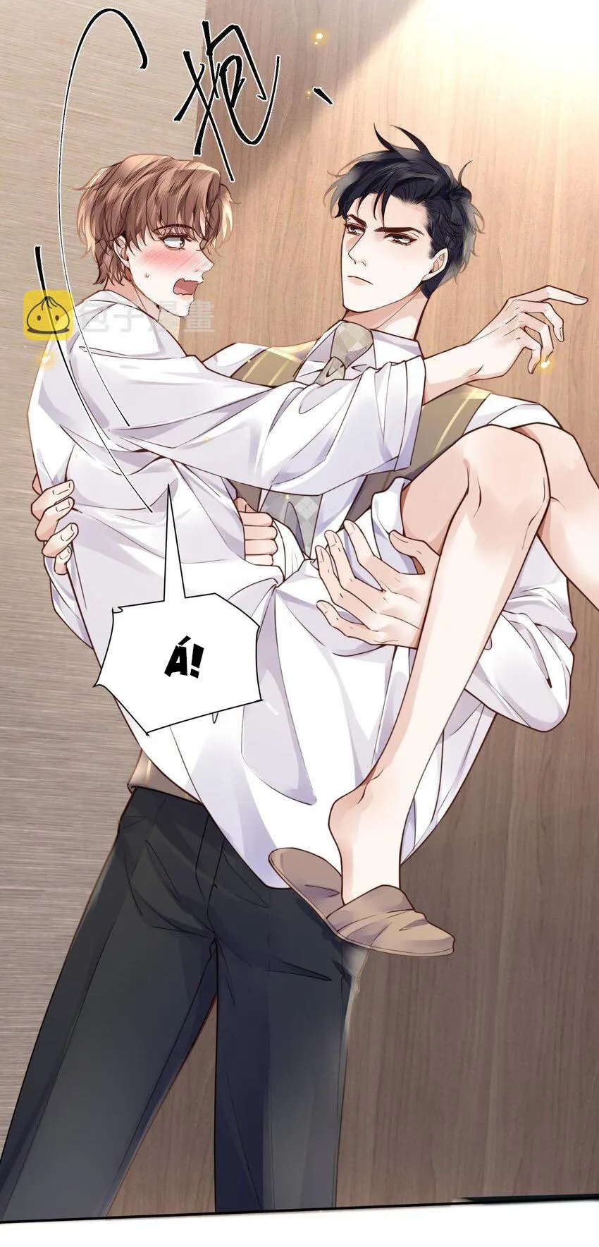 Tổng tài định chế tư nhân Chapter 16 Trang 26