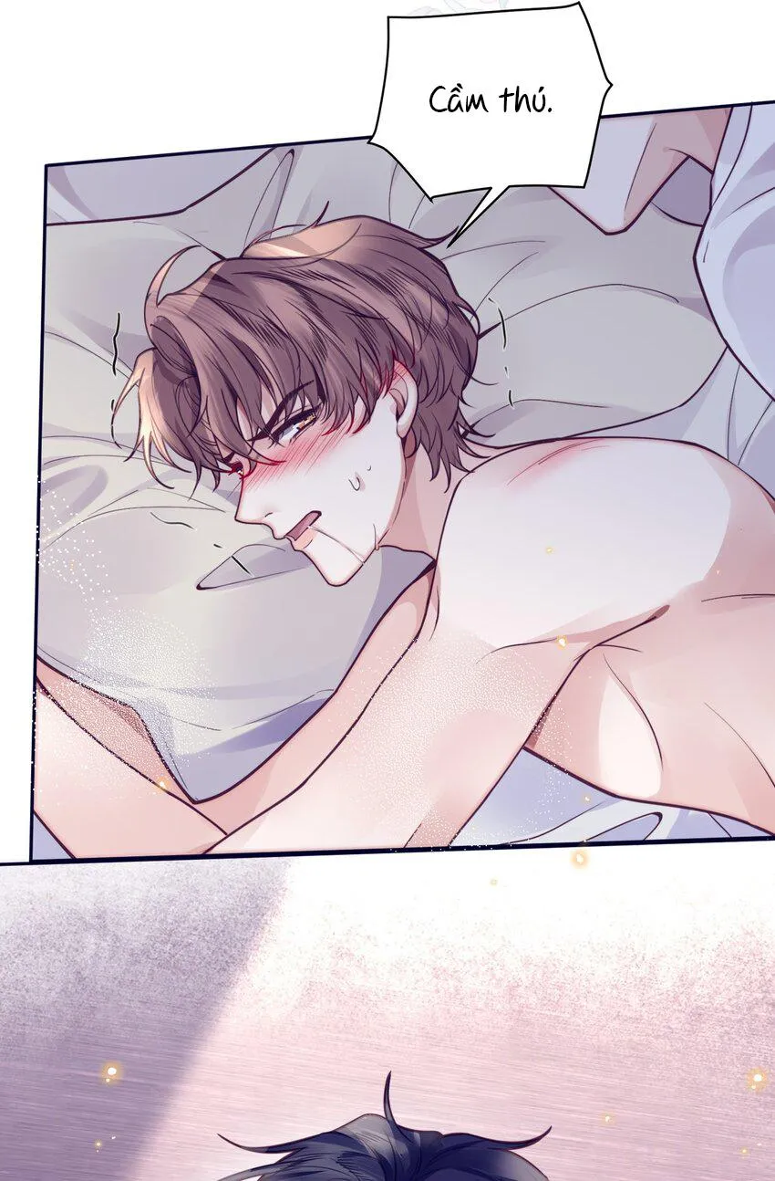 Tổng tài định chế tư nhân Chapter 17 Trang 11