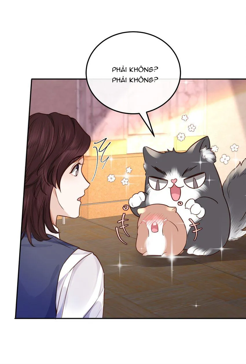 Tổng tài định chế tư nhân Chapter 24 Trang 20