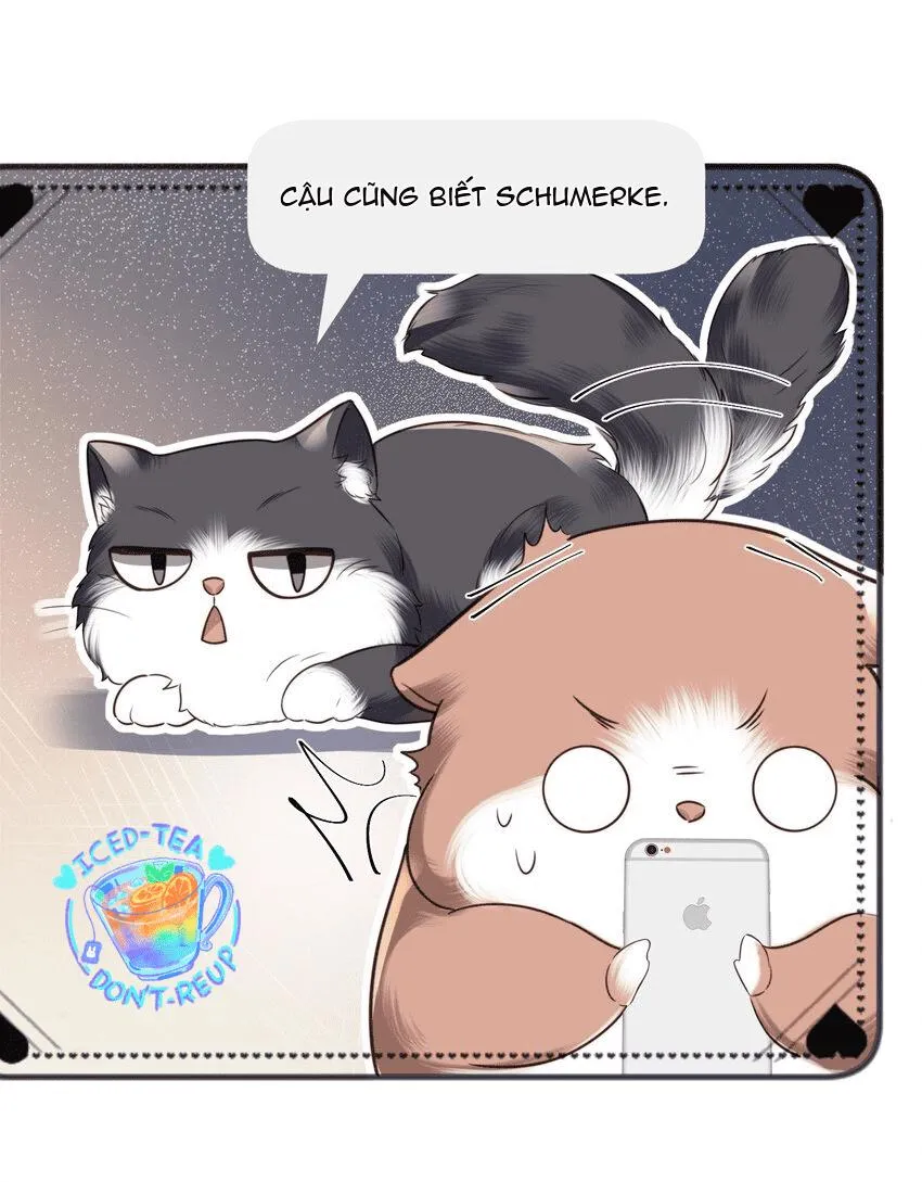 Tổng tài định chế tư nhân Chapter 27 Trang 34