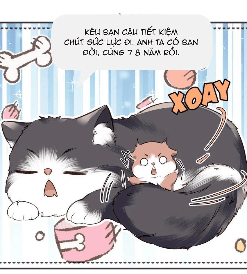 Tổng tài định chế tư nhân Chapter 27 Trang 36