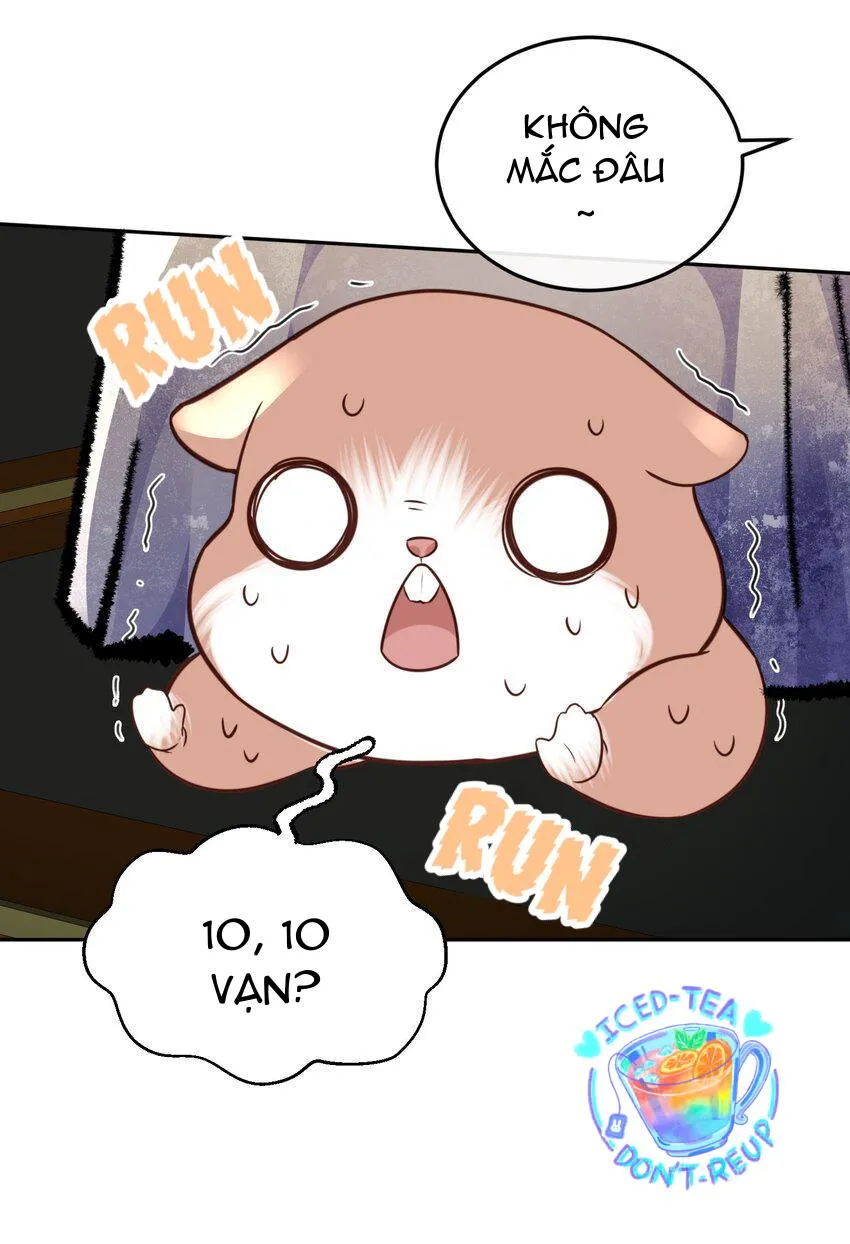 Tổng tài định chế tư nhân Chapter 28 Trang 13