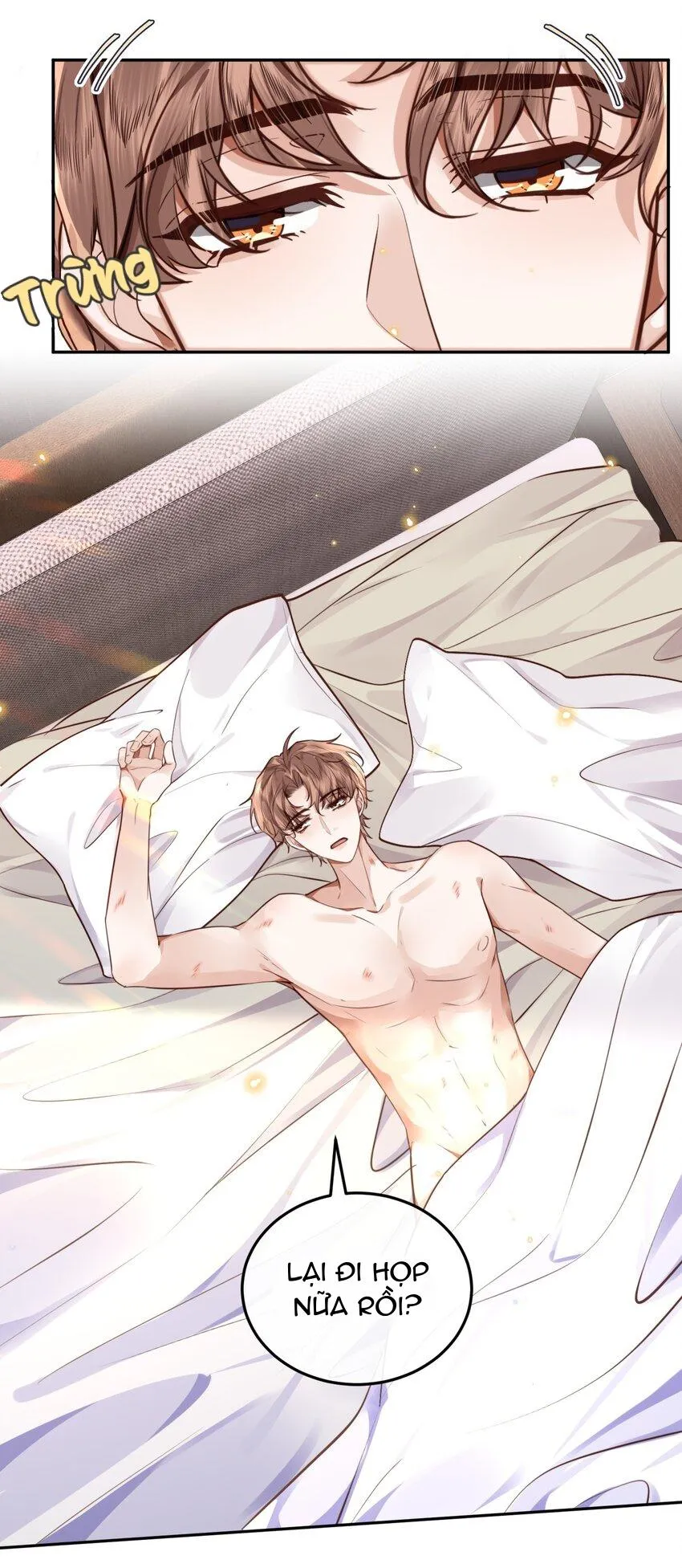 Tổng tài định chế tư nhân Chapter 29 Trang 14