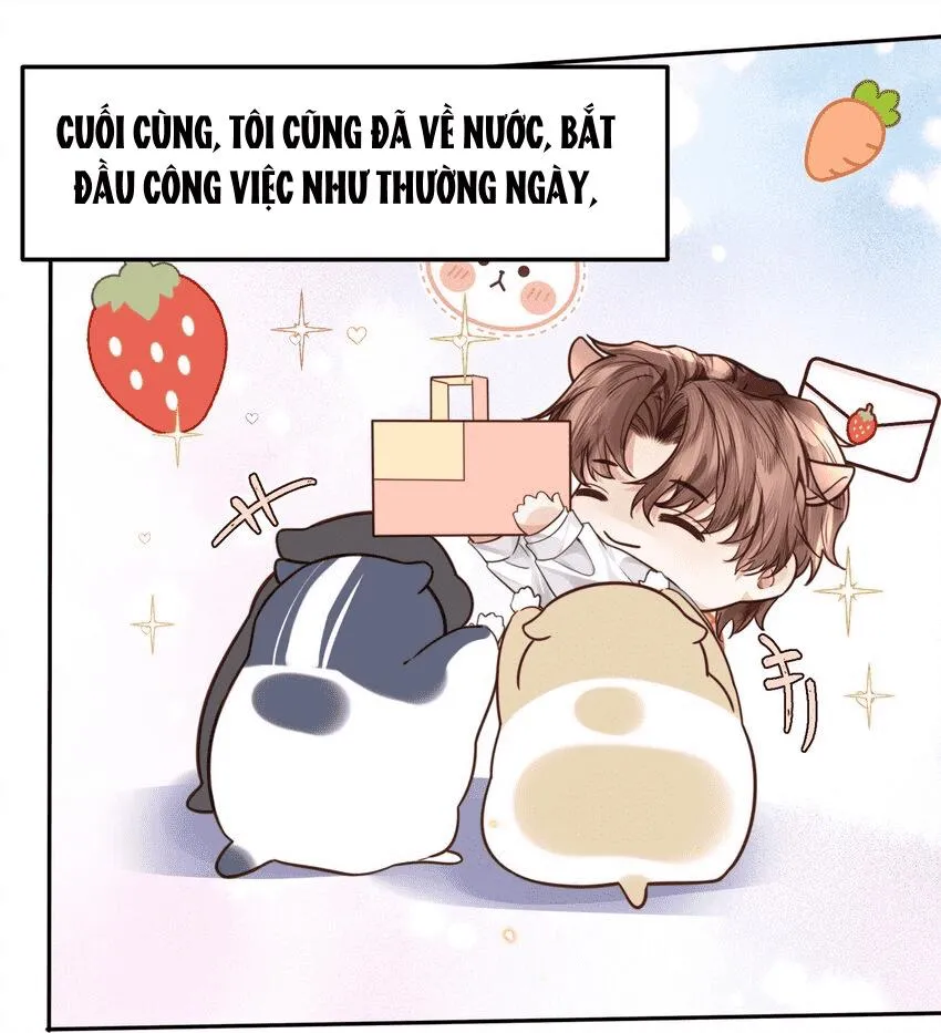 Tổng tài định chế tư nhân Chapter 30 Trang 17