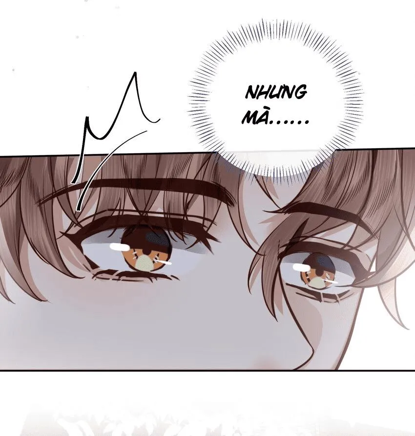 Tổng tài định chế tư nhân Chapter 35 Trang 23