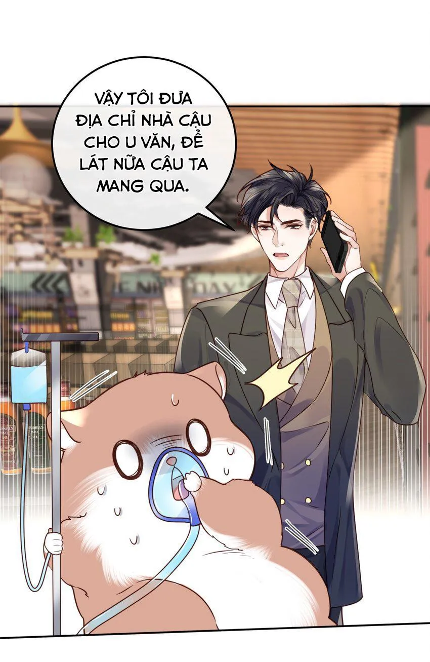 Tổng tài định chế tư nhân Chapter 37 Trang 14