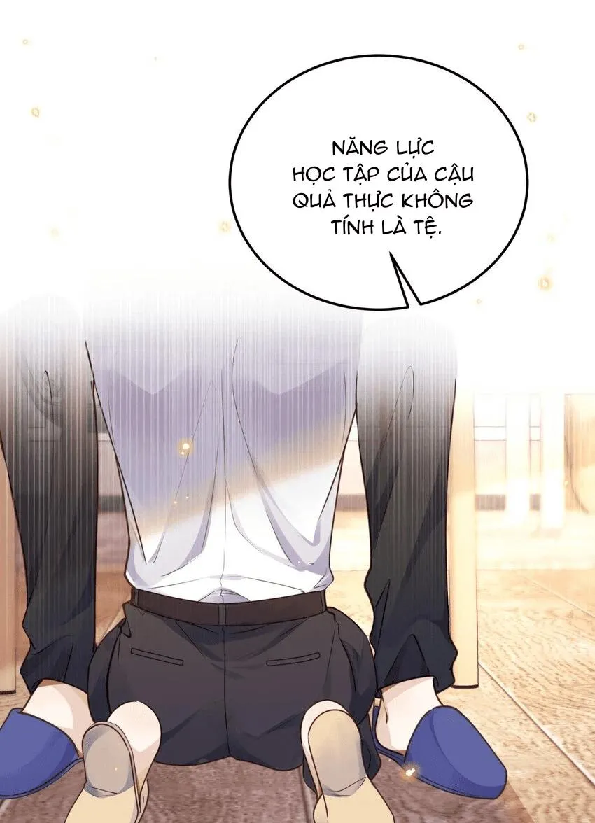 Tổng tài định chế tư nhân Chapter 39 Trang 12