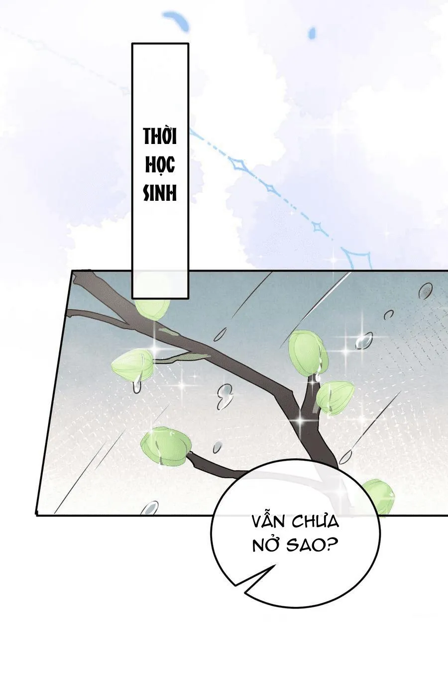 Tổng tài định chế tư nhân Chapter 44 Trang 3