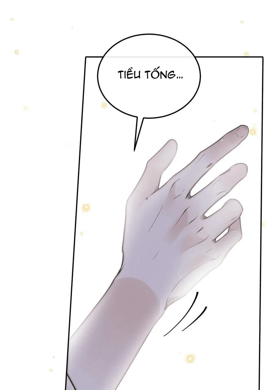 Tổng tài định chế tư nhân Chapter 45 Trang 21