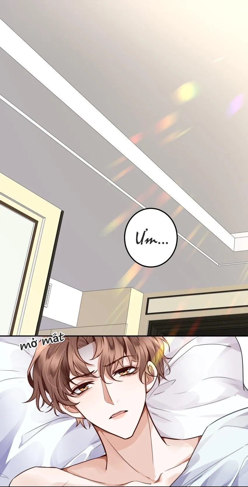 Tổng tài định chế tư nhân Chapter 1 Trang 3