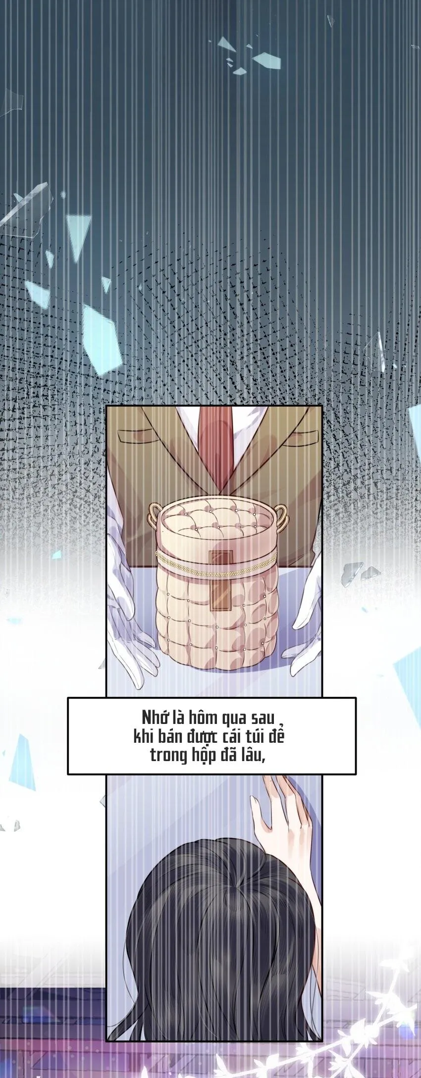 Tổng tài định chế tư nhân Chapter 1 Trang 14