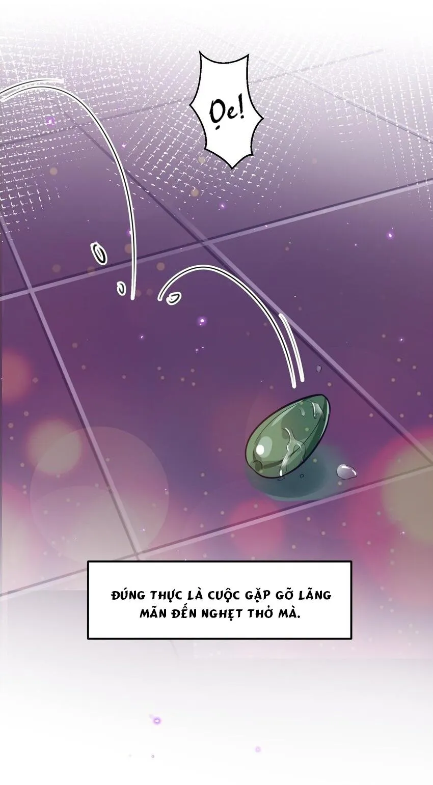 Tổng tài định chế tư nhân Chapter 1 Trang 24