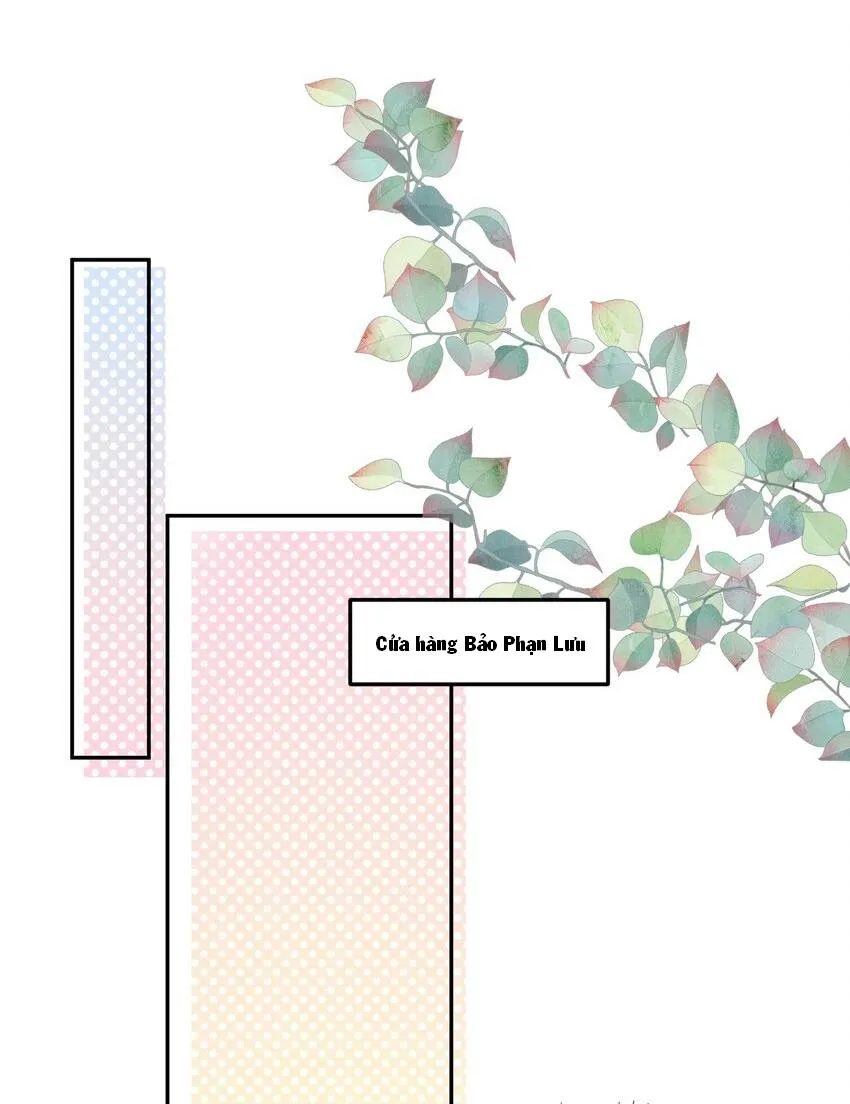 Tổng tài định chế tư nhân Chapter 1 Trang 34