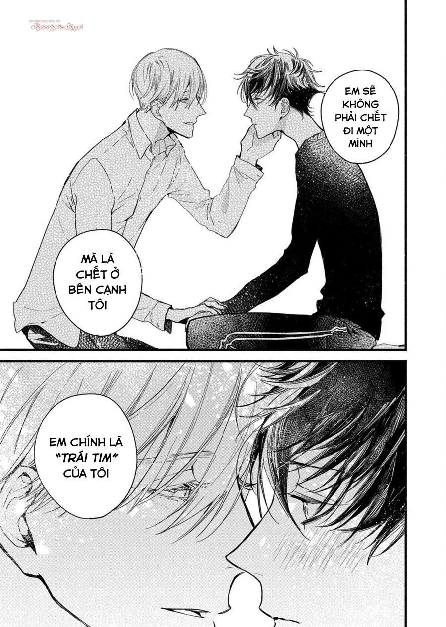 Trái Tim Của Ma Cà Rồng Chapter 8 Trang 13