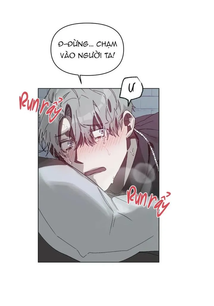 TRÁI CẤM Chapter 3 Trang 41