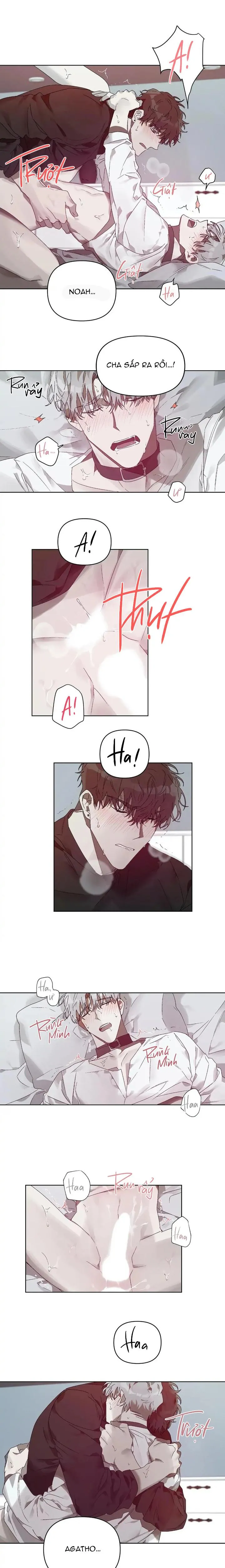 TRÁI CẤM Chapter 7 Trang 13