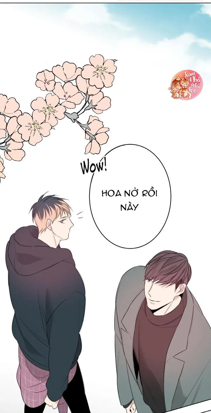 Trầm Lặng Chapter 22 Trang 29