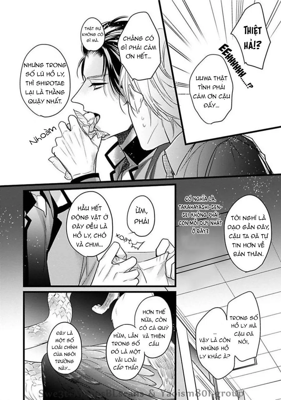 Trăng Sáng Xuất Hiện Nơi Khu Rừng Huyền Bí Chapter 2 Trang 15