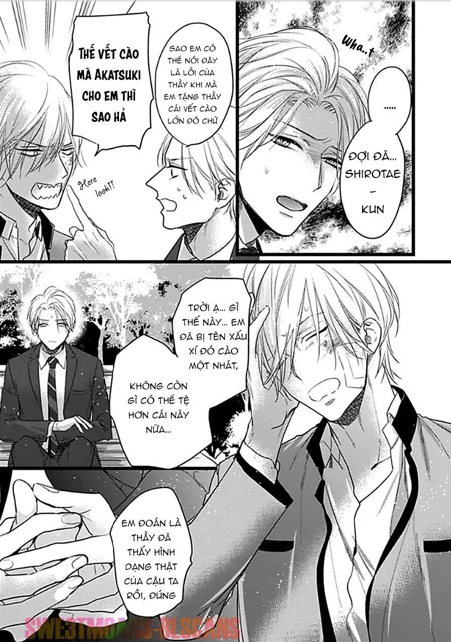 Trăng Sáng Xuất Hiện Nơi Khu Rừng Huyền Bí Chapter 6 Trang 5