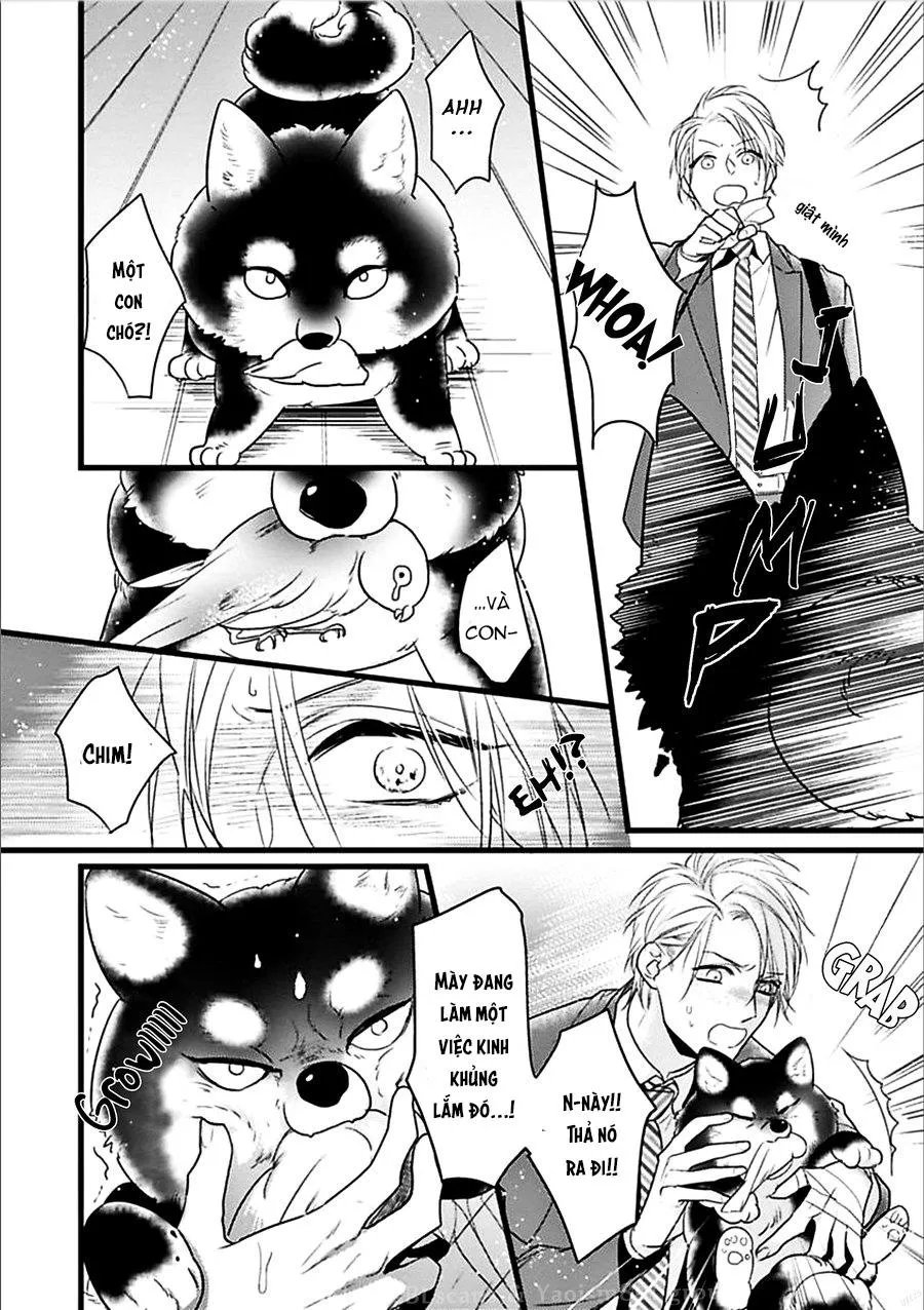 Trăng Sáng Xuất Hiện Nơi Khu Rừng Huyền Bí Chapter 1 Trang 8