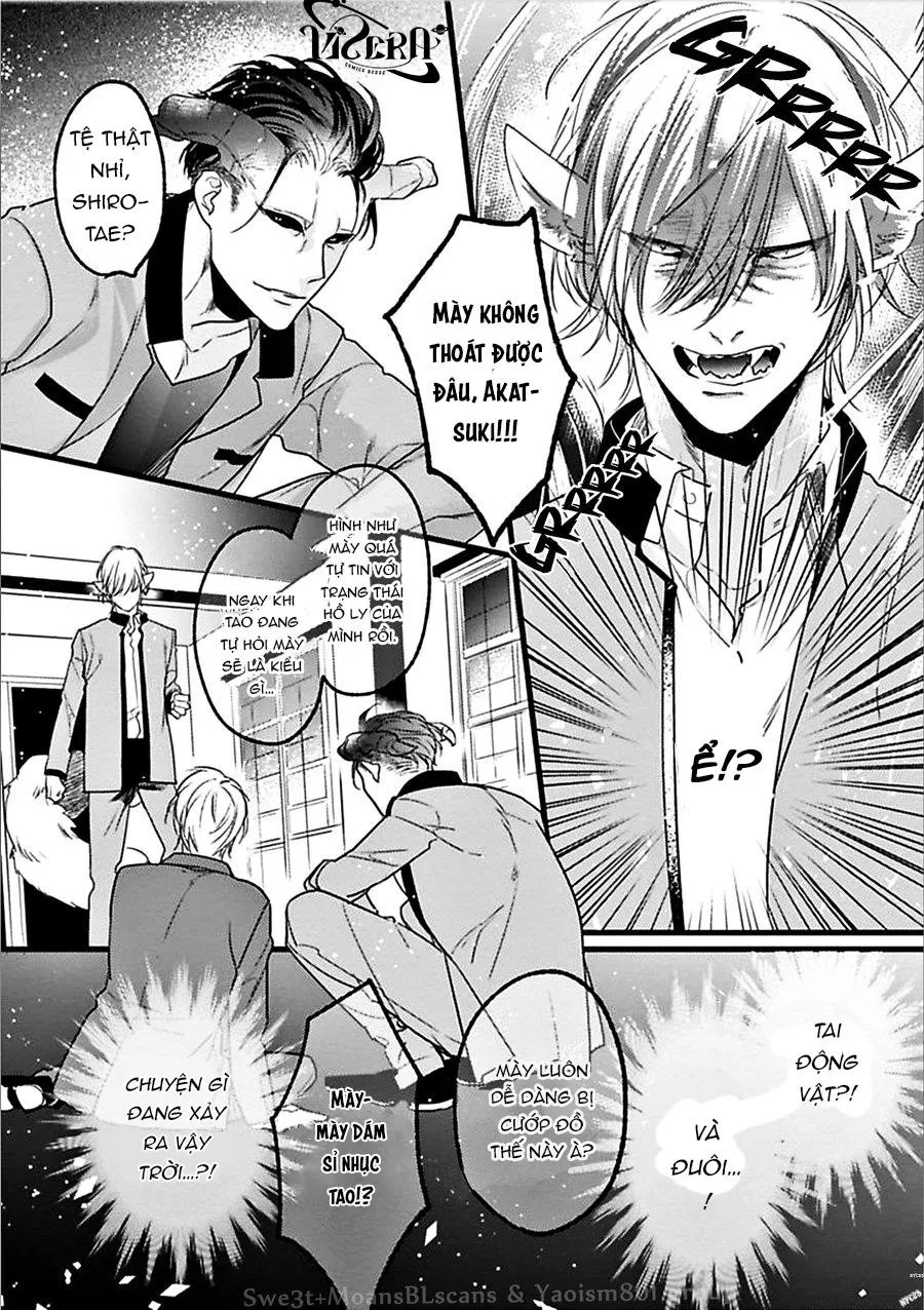 Trăng Sáng Xuất Hiện Nơi Khu Rừng Huyền Bí Chapter 1 Trang 18