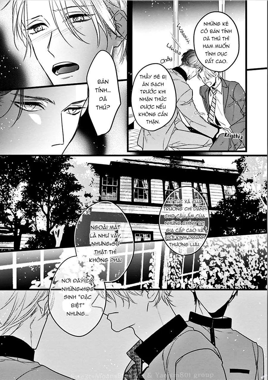 Trăng Sáng Xuất Hiện Nơi Khu Rừng Huyền Bí Chapter 1 Trang 27