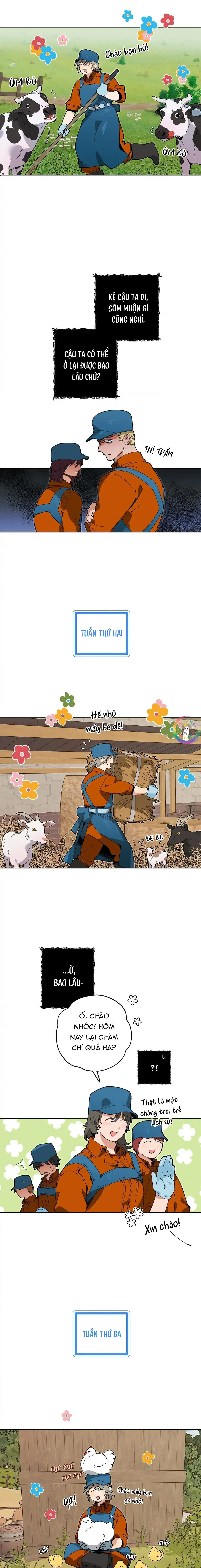 Trang Trại Của Mr.A Chapter 5 Trang 13