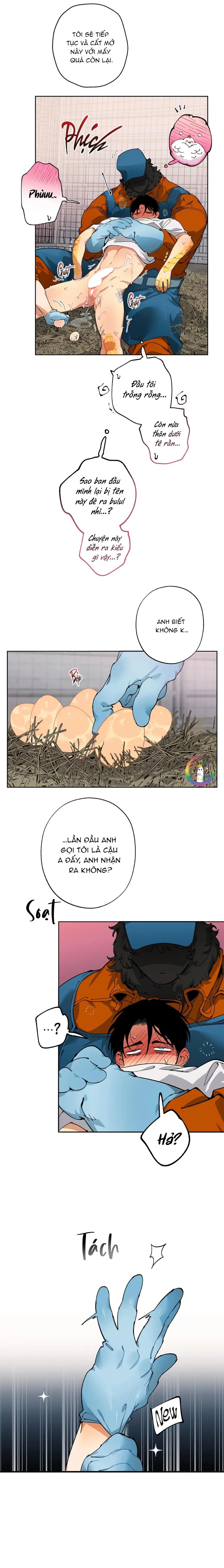 Trang Trại Của Mr.A Chapter 10 Trang 11