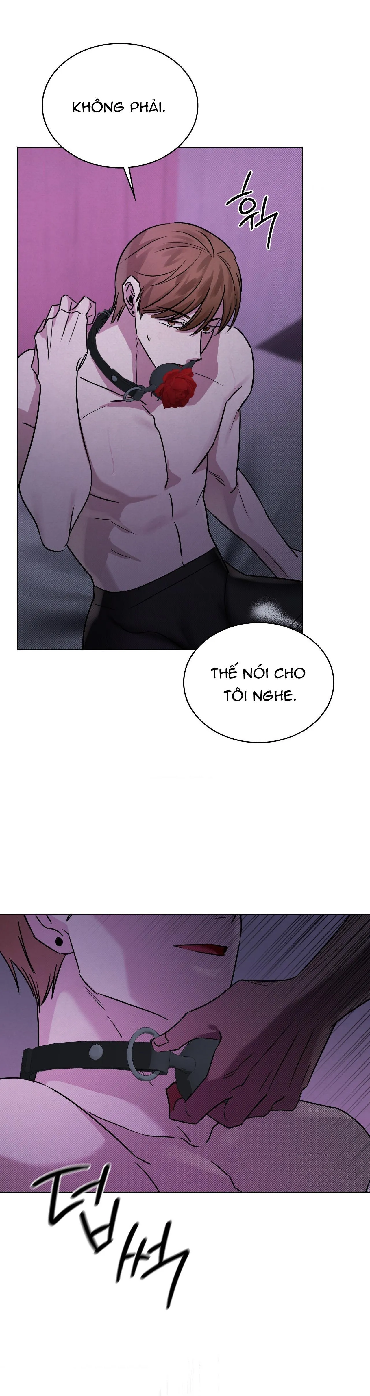 TRANH VẼ Chapter 11 Trang 34