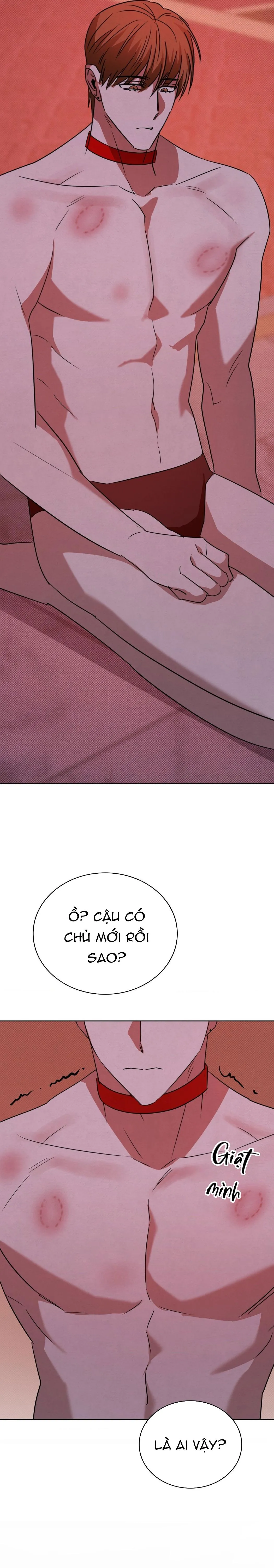 TRANH VẼ Chapter 23 Trang 16