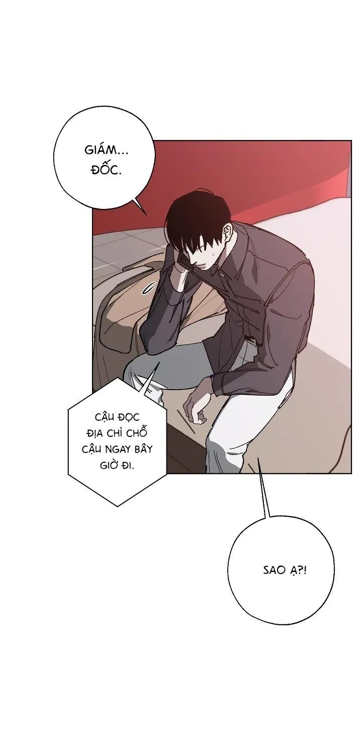 Tráo Đổi Chapter 11 Trang 13