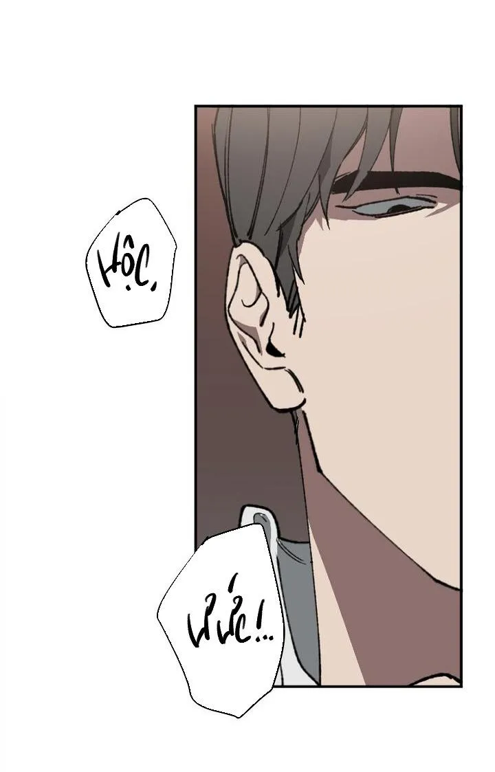 Tráo Đổi Chapter 11 Trang 61