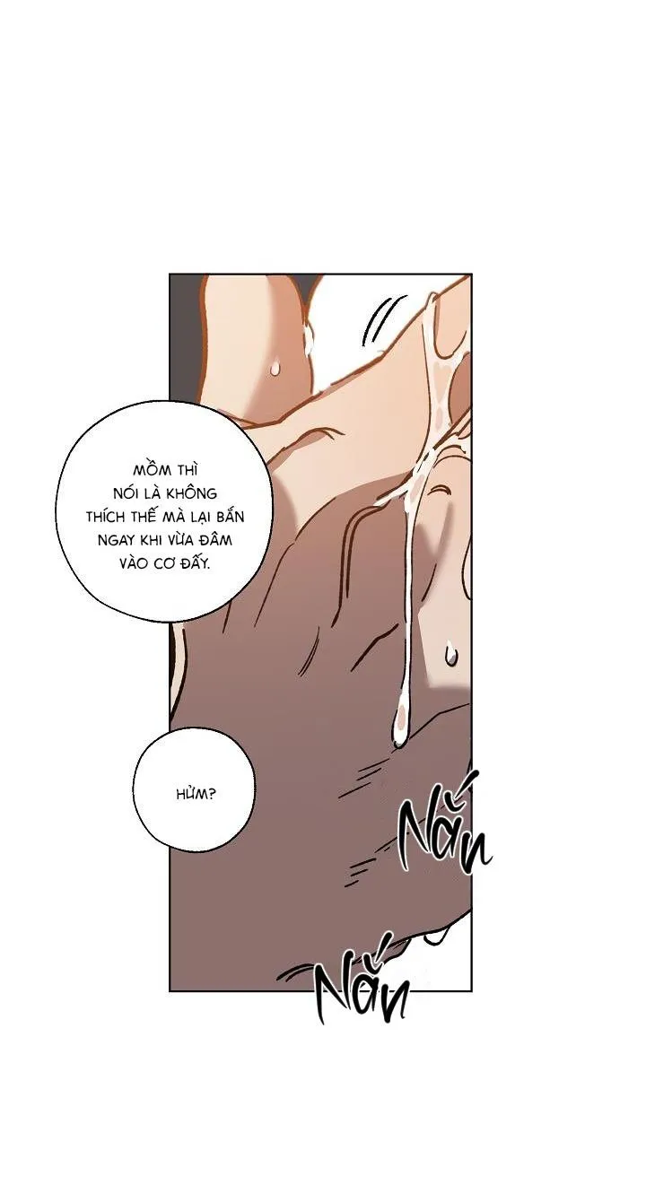 Tráo Đổi Chapter 35 Trang 28