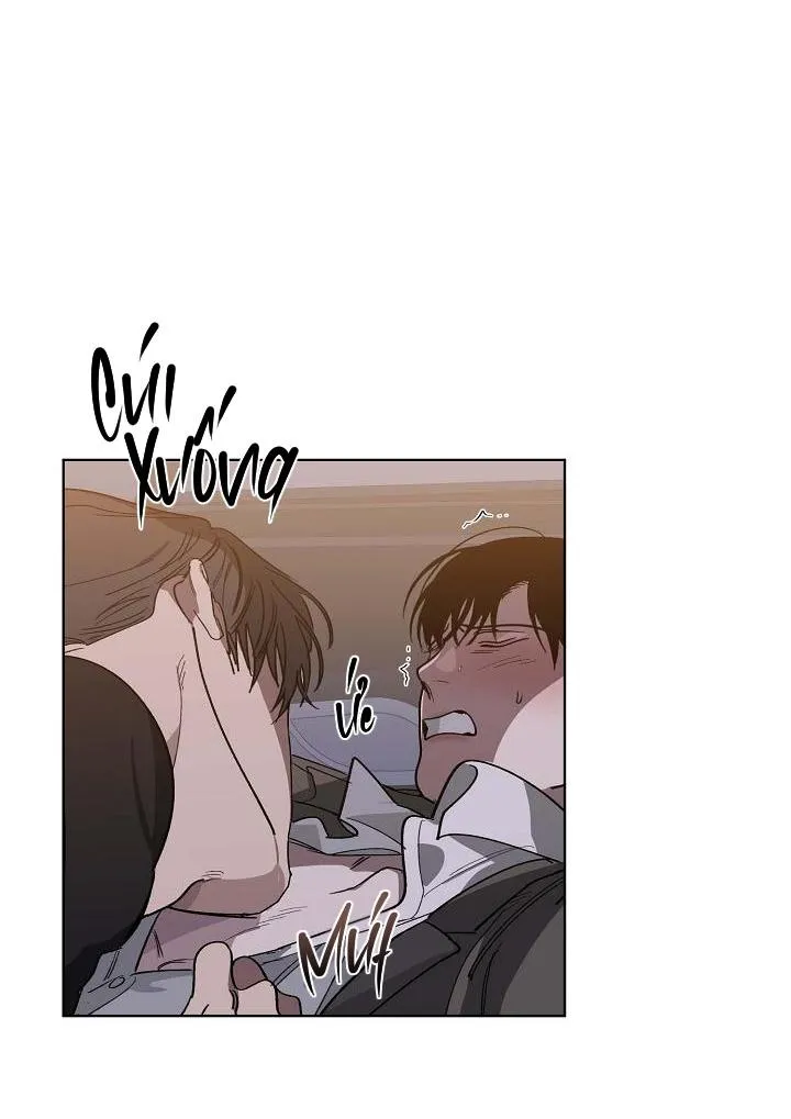 Tráo Đổi Chapter 45 Trang 48