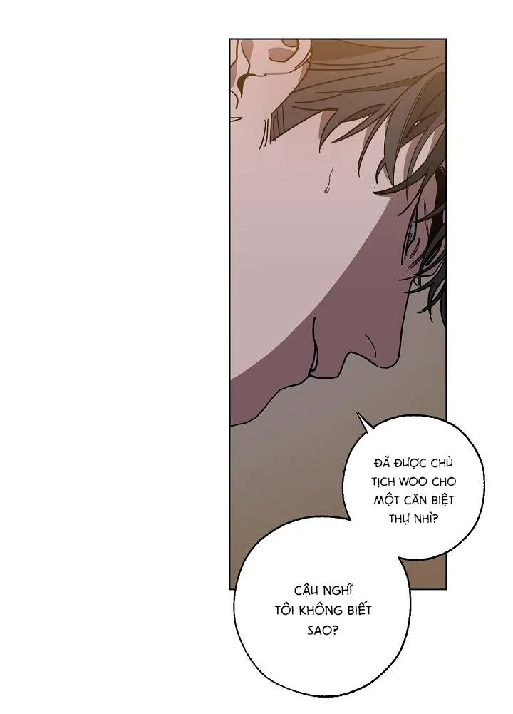 Tráo Đổi Chapter 45 Trang 61